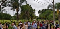 Semana Santa 2019: Domingo de Ramos